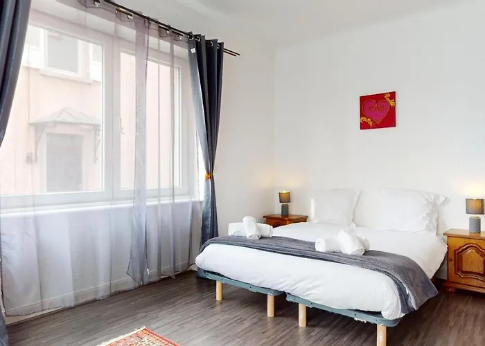 Apartment Clemenceau Avec Parking